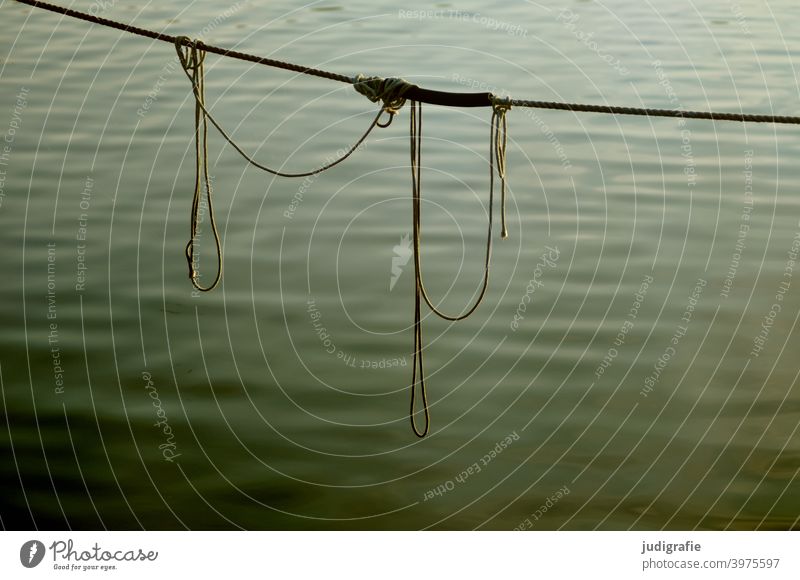 Harbour. Knotted ropes hang above the water surface. Rope Dew Hang Water Surface of water still life tranquillity Maritime Fastening Navigation