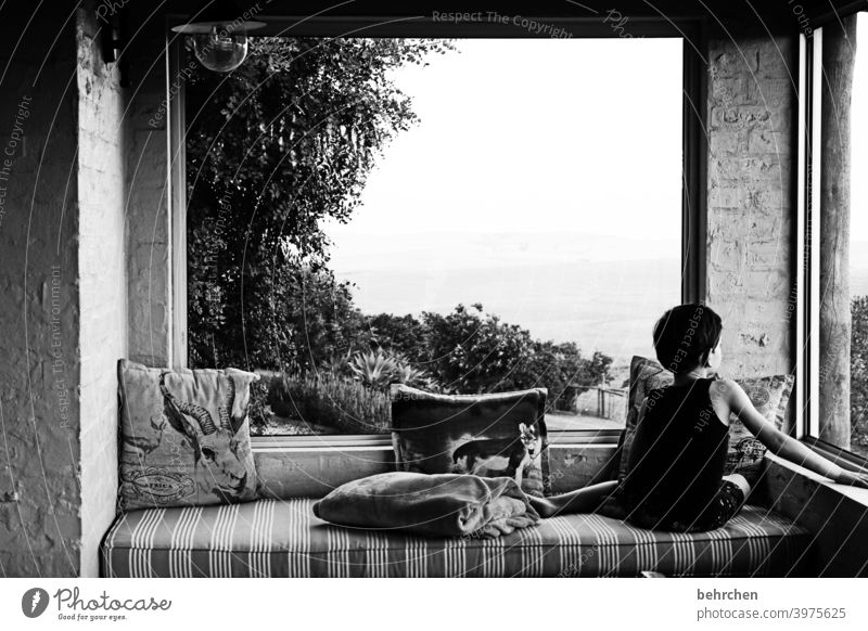 favourite place portrait Sunlight Contrast Light Living or residing Interior shot Evening Cozy Cushion Tree Window Veranda Sofa Wanderlust South Africa