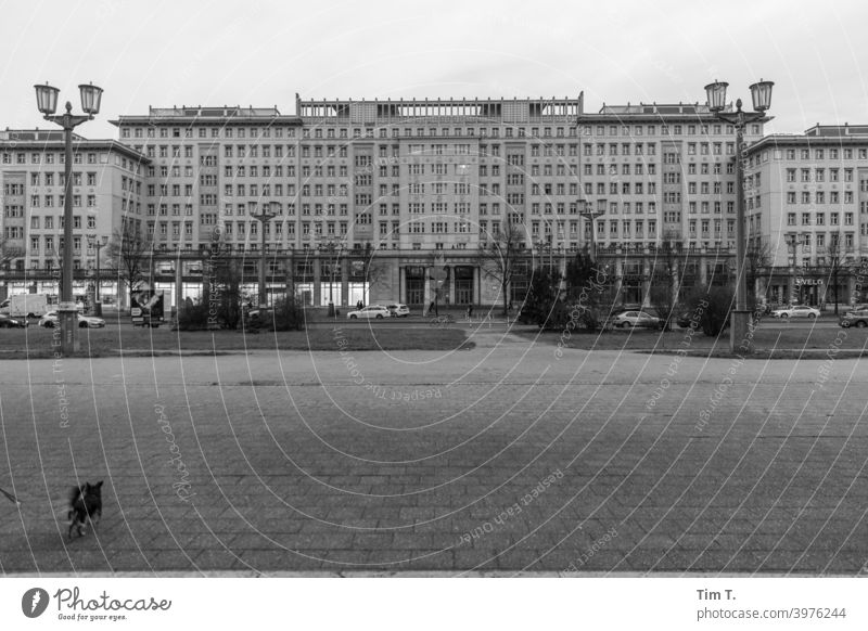 Karl Marx Allee with dog Friedrichshain Karl-Marx-Allee House (Residential Structure) stalinallee Berlin Architecture GDR Facade Capital city Deserted Building