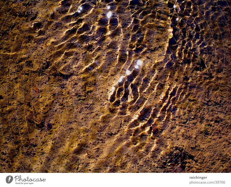 water skin Brook Light Glittering Fluid Water River Reflection Sun ruffle Gold