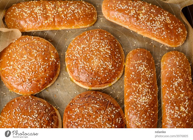 baked sesame buns on brown parchment paper, ingredient for a hamburger cheeseburger classic closeup crust delicious dough eating american bakery black bread