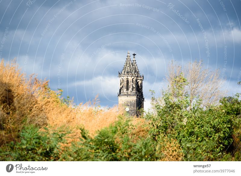 The two towers of the Magdeburg cathedral stretch out behind a hill overgrown with desert undergrowth into the cloudy sky. Dome Magdeburg Cathedral spires
