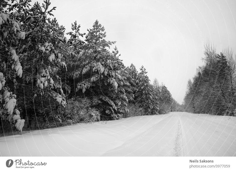 northern perspective / country road in deep winter / heavy snow on coniferous trees / black and white version of infinity Above abstract adventure aerial