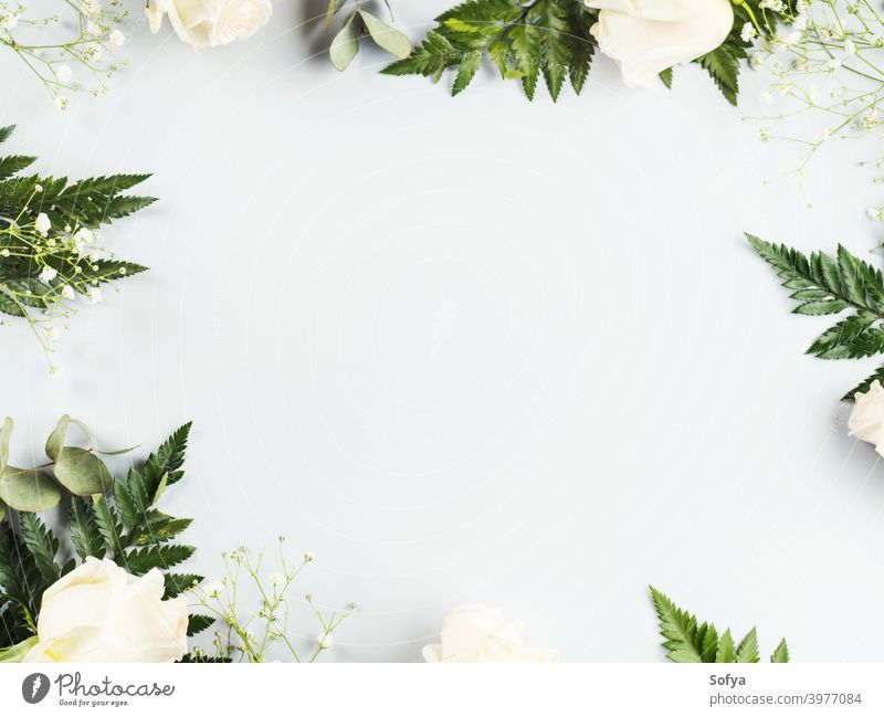 Download Floral Arrangement Frame With White Roses And Fern A Royalty Free Stock Photo From Photocase