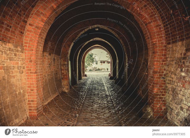 Old historical brick passageway | courtyard of a cathedral | lane Historic stonewalled Wall (barrier) Brick Passage Manmade structures Interior courtyard