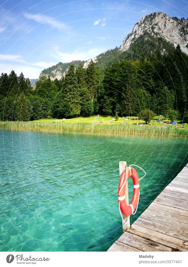 Turquoise green water in the summer sunshine at the Alpseebad Hohenschwangau in Schwangau near Füssen in the Allgäu in the Free State of Bavaria alpine lake
