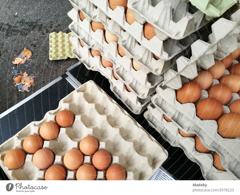 Brown eggs from organic farmers in large cardboard boxes at the weekly market in Detmold in the Lippe region near the Teutoburg Forest in East Westphalia-Lippe