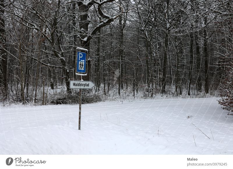 Hiking trail in the forest - forest nature trail hiking path landscape wilderness environment park green light road country walk scenic beautiful sunny natural