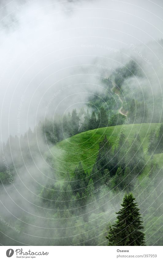 mountain of fog Environment Nature Landscape Elements Air Water Sky Clouds Spring Summer Autumn Climate Climate change Weather Bad weather Wind Fog Rain Meadow