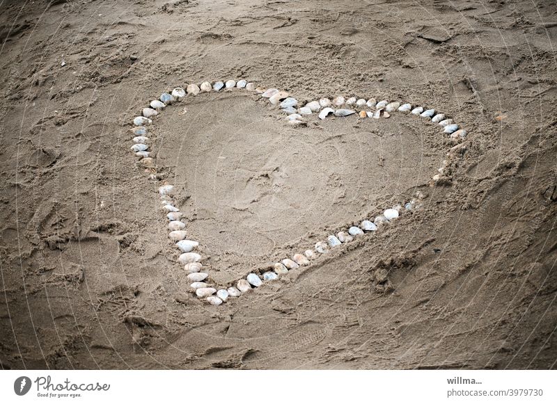 A fuzzy pain made out of merzhuscheln.  :-) Heart seashells Beach symbol Valentine's Day Romance Infatuation Love Mother's Day Sand Heart-shaped Sincere