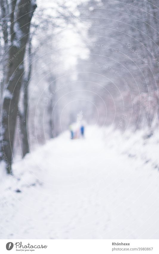 Walk in the snow blurred photographed...like ghosts January Colour photo Shallow depth of field snow-covered Freeze Exterior shot Winter Snow Tree White Nature