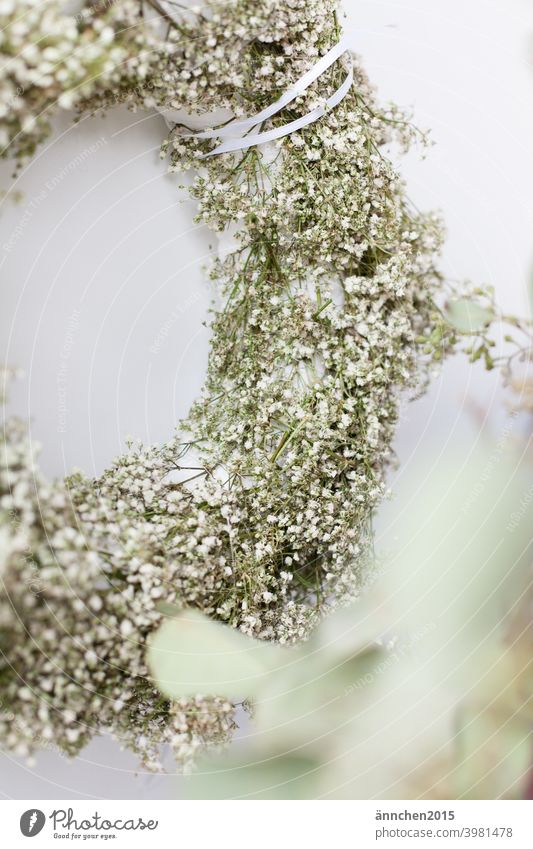 A half wreath of white baby's breath and in the front right you can see blurred eucalyptus Baby's-breath Dried flower Wreath Wedding Flower Blossom Colour photo