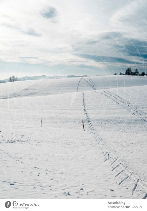 Tracks in the snow Snow Winter Hill hilly country mill district Traces of snow Horizon Clouds White Blue Sky up down Tree Small tree Landscape Nature wide trees