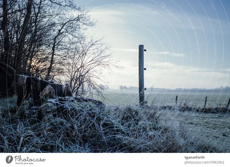 frost Frost Hoar frost Cold Winter Frozen Close-up Deserted Willow tree Fence Exterior shot Fence post Pasture fence Meadow Landscape Freeze Morning Tree stump