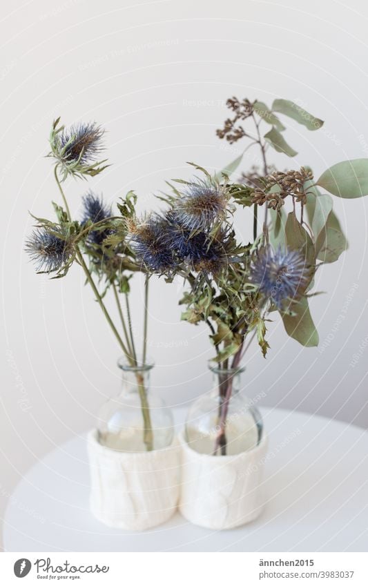 Two small glass vases stand on a small white side table and are filled with dried branches/flowers Vases Dried flowers Thistle eucalyptus Plant Nature Green