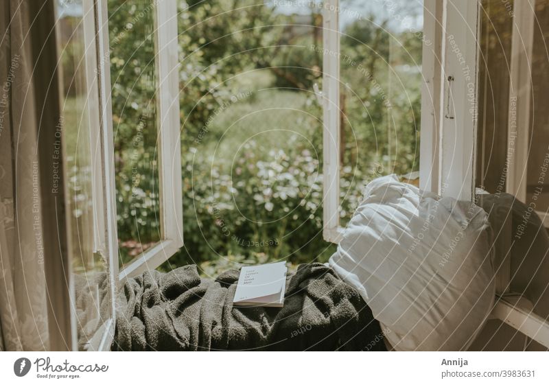Morning read morning reading book window garden country country living farm barn Old Reading Education Literature Novel Library Study