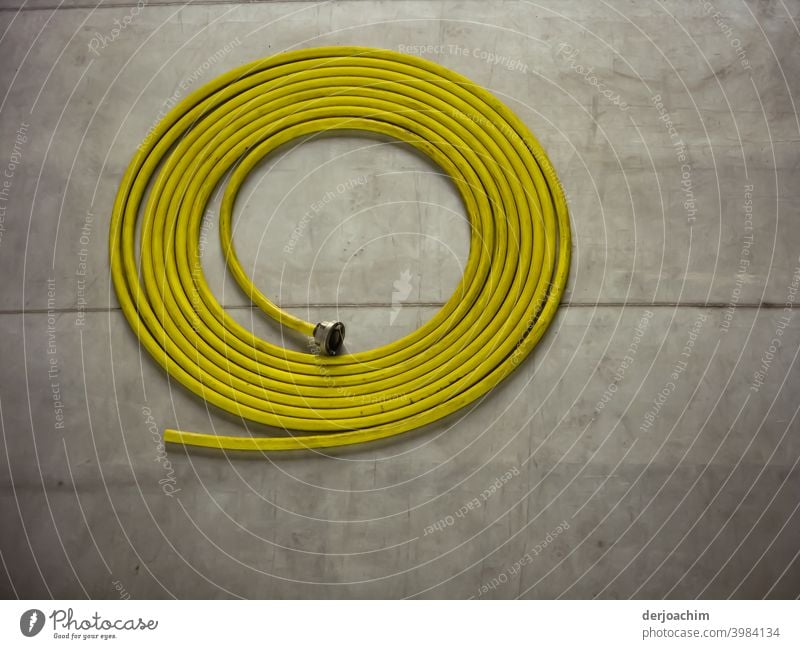 Yellow water hose lies neatly rolled up on the concrete floor. Water hose Garden hose Hose Colour photo Deserted Exterior shot is coiled