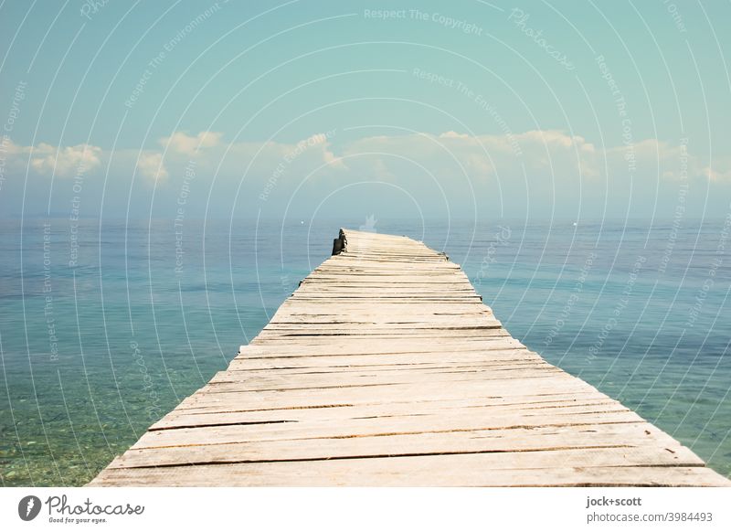 Just a sloping jetty and the vastness of the sea in the bright sunshine Freedom Summer Sky Clouds Beautiful weather Warmth Wooden board Tilt Horizon Sunlight