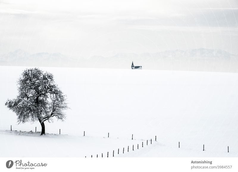 Tree-Church-Mountains mountains Snow Landscape pile Horizon winter landscape Winter Snowscape Fence Wood Alps All Saints' Day in the Mühlkreis Tower