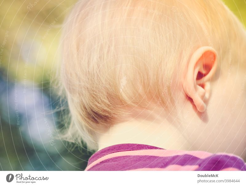 The back of the head of a toddler Toddler Girl Infancy Human being 1 1 - 3 years Colour photo Exterior shot Day Looking away Shallow depth of field Feminine