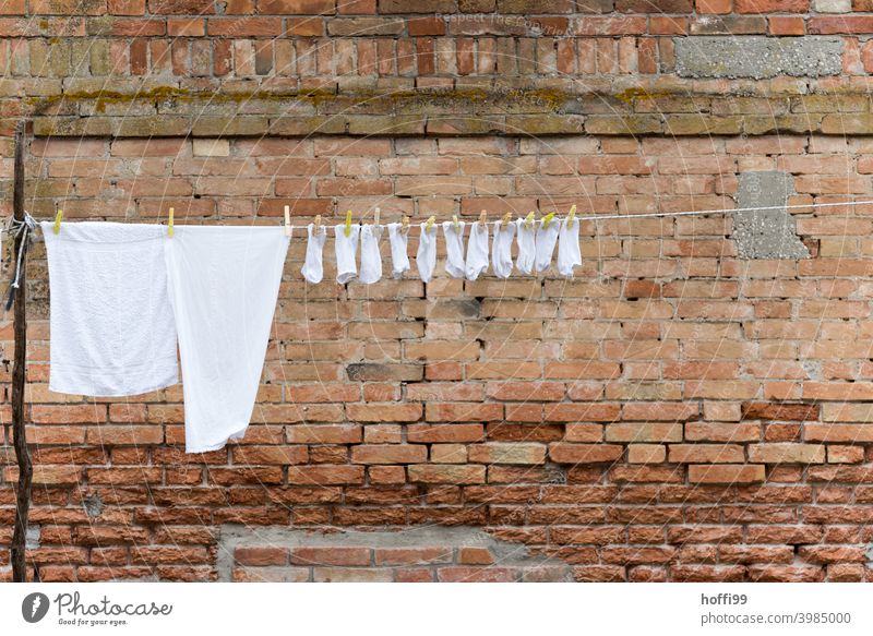 White laundry on a clothesline in front of an old brick wall in the historic old town of Venice Stockings T-shirt Clothes peg Laundry Hang Fresh Clean Washing
