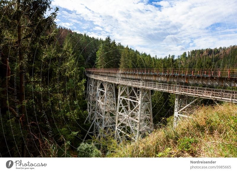 The Ziemestal bridge in Thuringia, old steel viaduct zieme valley bridge Bridge Railway bridge rails Railroad Valley Forest Manmade structures railway line