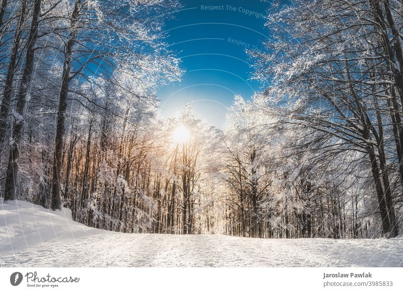 Sunny weather Stock Photos, Royalty Free Sunny weather Images