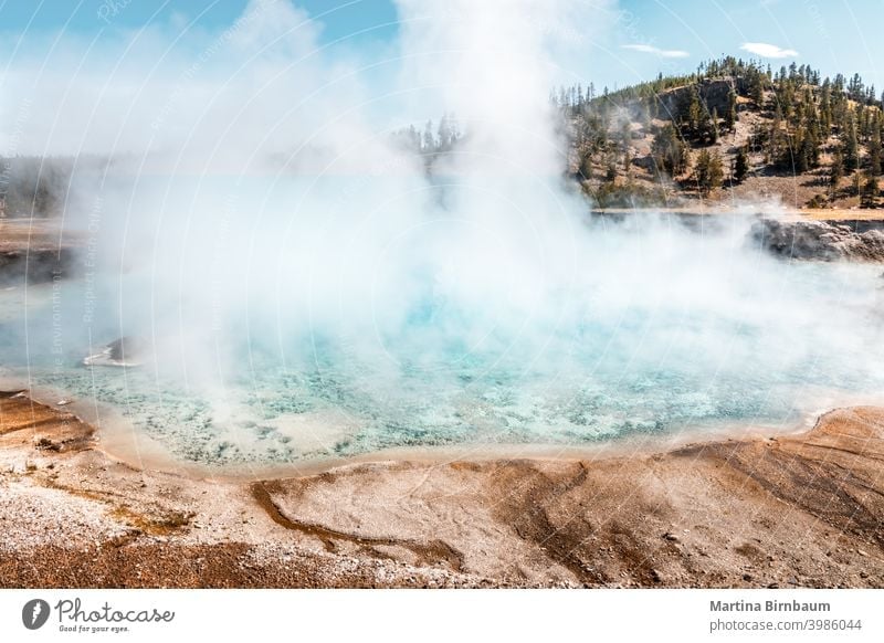 Steam rising from the Turquoise Pool, Yellowstone National Park prismatic yellowstone pool turquoise landscape travel nature famous steam scenery hot