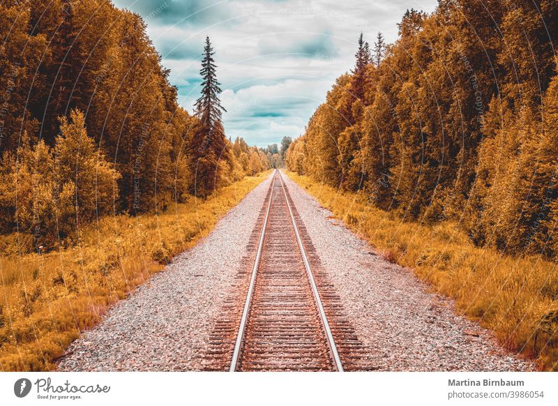 Straight forward, railtracks in the alaskan wilderness to Denali National Park rail track railroad railway scenic denali national park landscape travel blue