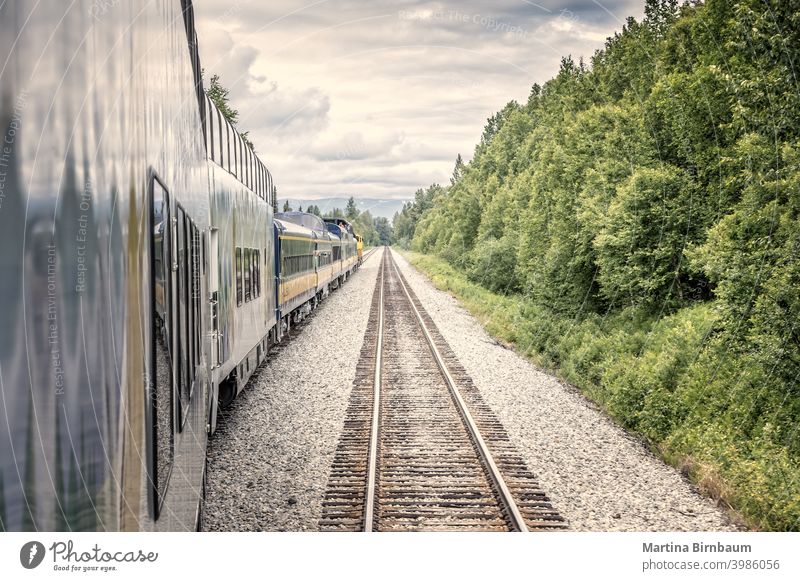 Straight forward, train and railtracks in the alaskan wilderness rail track railroad railway scenic denali national park landscape travel blue outdoor