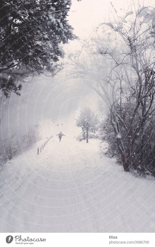 Snow drift - A person in a snowy winter landscape blow snow off Nature Forest Winter Snowfall Cold Landscape White Snowscape Environment trees Winter forest