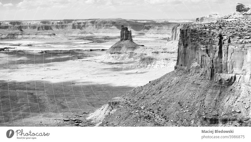 Black and white panorama of Canyonlands National Park, Utah, USA. america landscape canyon valley desert erosion nature canyonlands utah rock mountain usa