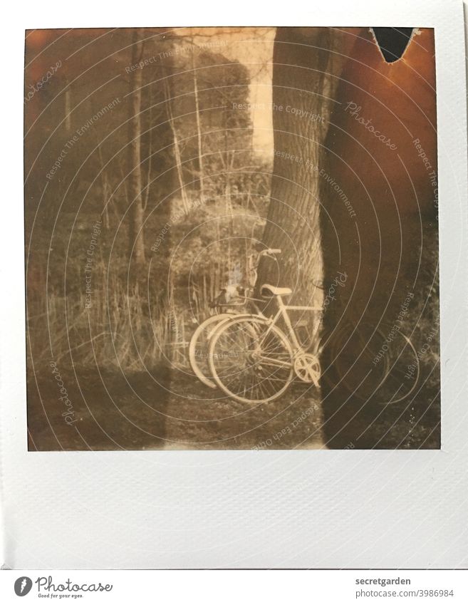 Romance is a bike ride together. And then off into the lake! romantic Bicycle Cycling Cycling tour Tree Lean Park Polaroid Analog Stripe Trip Exterior shot