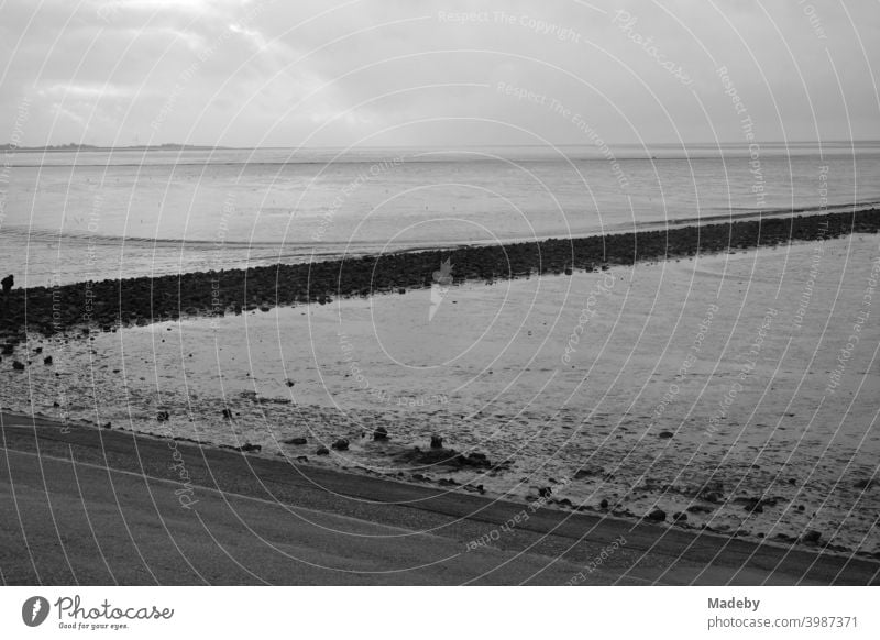 The Wadden Sea World Heritage Site on the coast of the North Sea in Norden near Norddeich in East Frisia in Lower Saxony, photographed in classic black and white