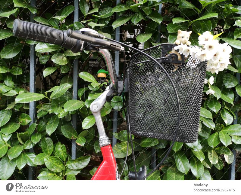 Handlebar of a red bicycle with black bicycle basket and kitschy cat figure with white flowers and blossoms in summer in the north end of Frankfurt am Main in Hesse, Germany