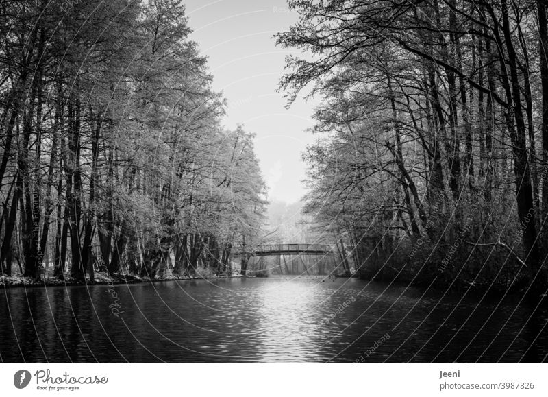 Enjoy the winter peace and quiet on the small river | Canoeing in winter during frost | Small wooden bridge over the water for pedestrians icily bank