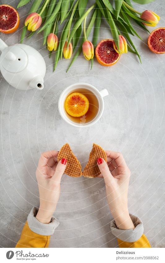Top view of a woman holding a stroopwafel (Dutch syrup wafer) with a cup of tea and colorful tulips and blood orange on a gray background Beverage Brown colors