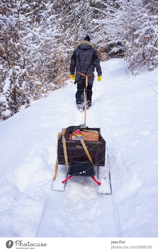 Man walking through the snow, pulling a packed sled behind him with a rope. Walking Hiking Snow Winter Cold Sleigh Forest Pull Wood Joy Nature one person