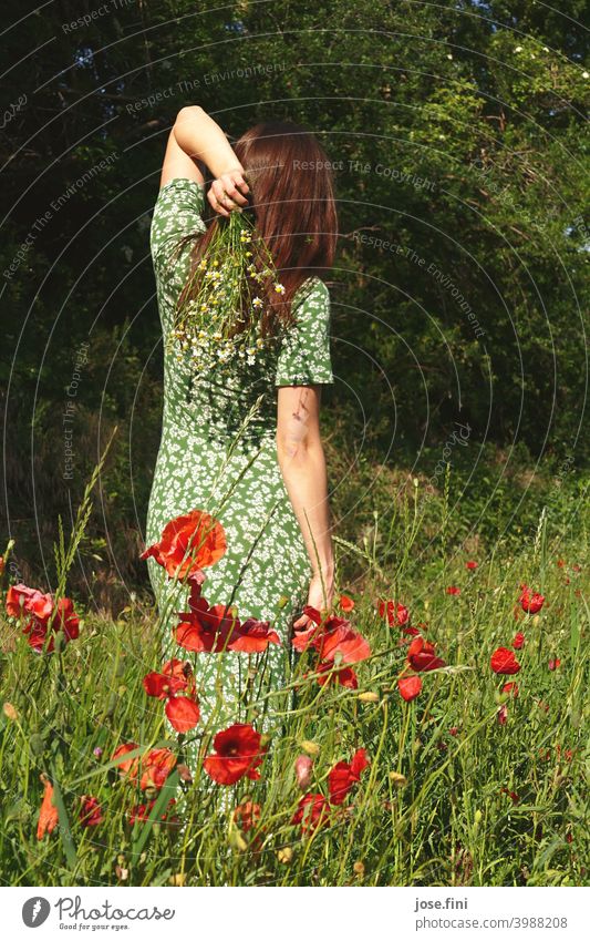 Back view of a young woman with long summer dress holding flowers in a poppy field Fresh naturally Retro Girl Slim Young woman Feminine pretty long dress pose