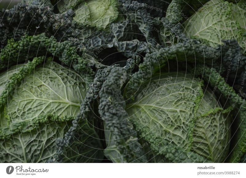 Here we have the salad [or rather savoy cabbage]. Savoy cabbage Cabbage Green green stuff vegetarian salubriously food Eating Nutrition Vegetable