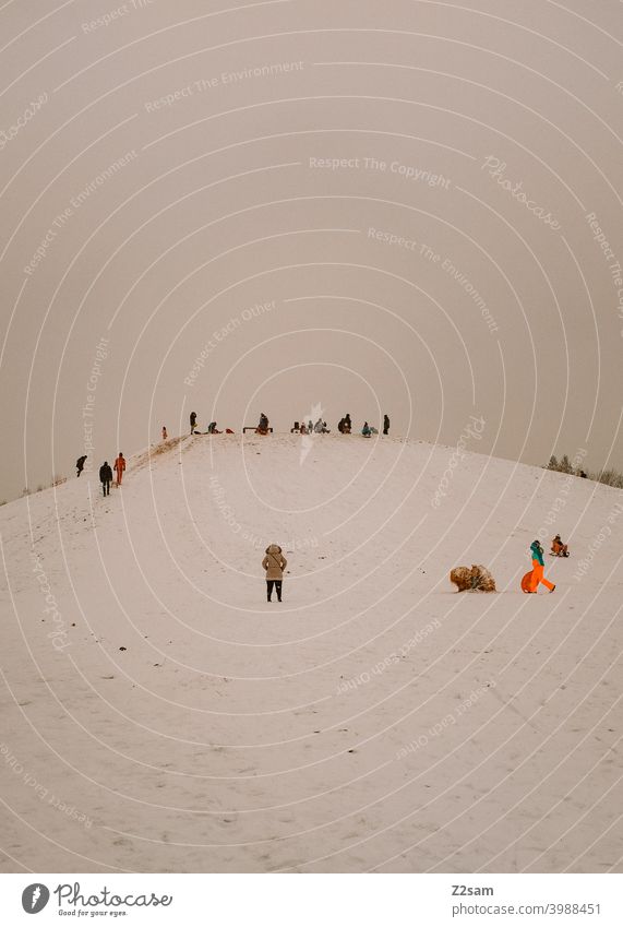 Toboggan on a snow covered hill Winter Landscape Snow chill people group Sledding sledging Sun warm colors Nature Sleigh Colour photo White Crowd of people