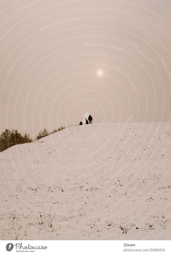 Toboggan on a snow covered hill Winter Landscape Snow chill people group Sledding sledging Sun warm colors Nature Sleigh Colour photo White