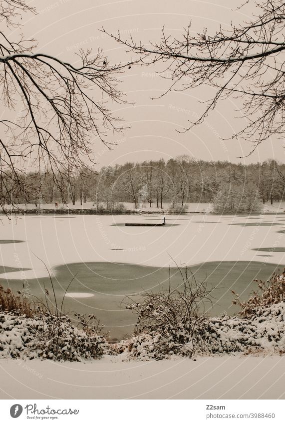 Lake in winter Winter winter landscape Snow Landscape Nature tranquillity Gloomy Gray warm Village Town White minimalism Climate Climate change Frozen pond