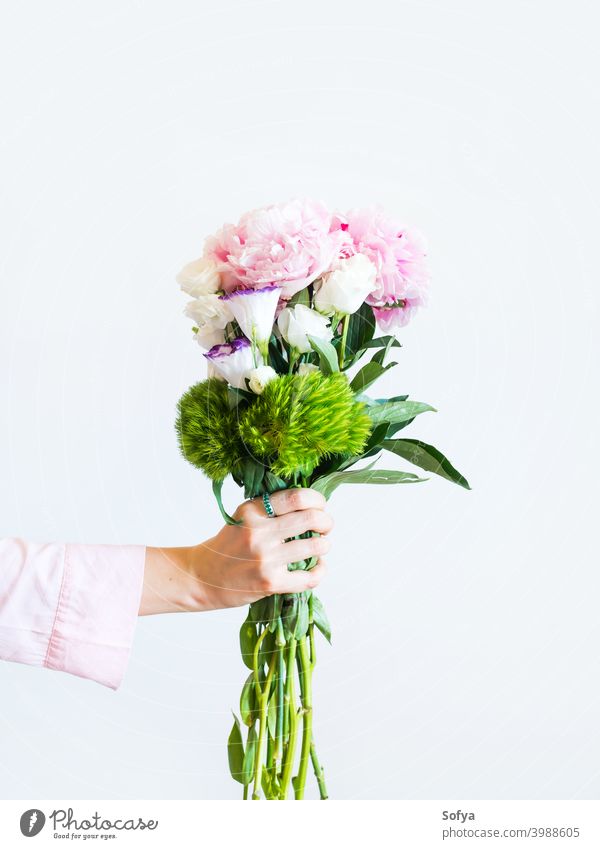 Female hand holding beautiful pastel peony bouquet woman flowers mother day female florist mothers day pink spring lifestyle faceless womens day expression