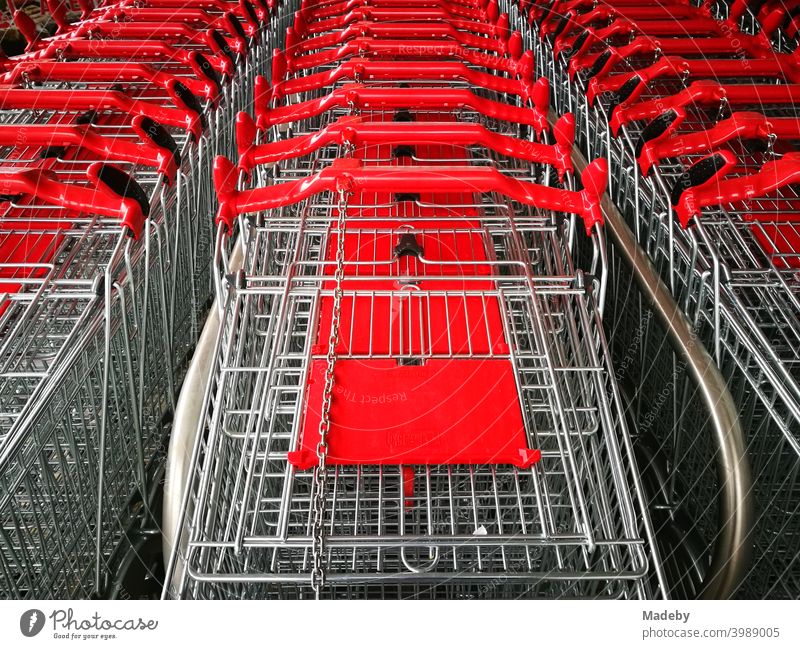 Lined up shopping trolleys made of shiny wire with red plastic in front of a new supermarket in Bielefeld in the Teutoburg Forest in East Westphalia-Lippe