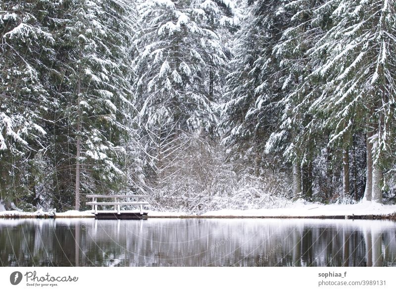 winter wonderland in coniferous forest - lake with small wooden bridge and snow on fir trees footbridge passing reflection black forest firs idyllic water