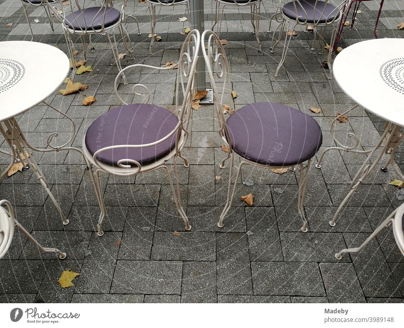 White bistro tables and bistro chairs with purple cushions in autumn on grey pavement in downtown Cologne on the Rhine in North Rhine-Westphalia in Germany