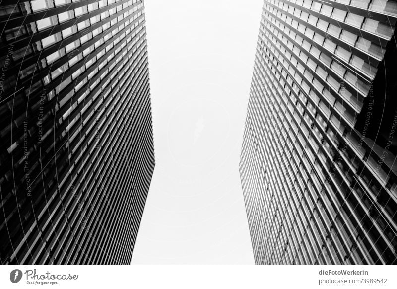 View into the sky between two skyscrapers Modern architecture out colourless Vanishing lines High-rise Building Rich in contrast Town Symmetry Gray Black White