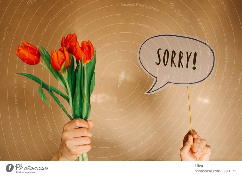 Hands holding a bouquet of tulips and a speech bubble with the word Sorry in it. Sorry. Apology sorry Remorse Bouquet apologize Speech bubble communication