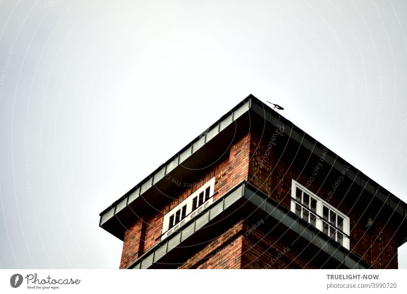 A magpie starts its flight from the top of the tower of a beautiful brick architecture commercial property in Babelsberg Tower Target Architecture Commerce